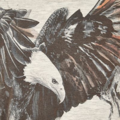 Boys cream eagle print t-shirt